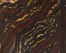 Tiger Iron Stromatolite Shower Tile - Billion Years Old #48782-1
